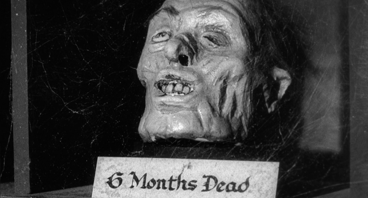 新科学怪人剧照的剧照