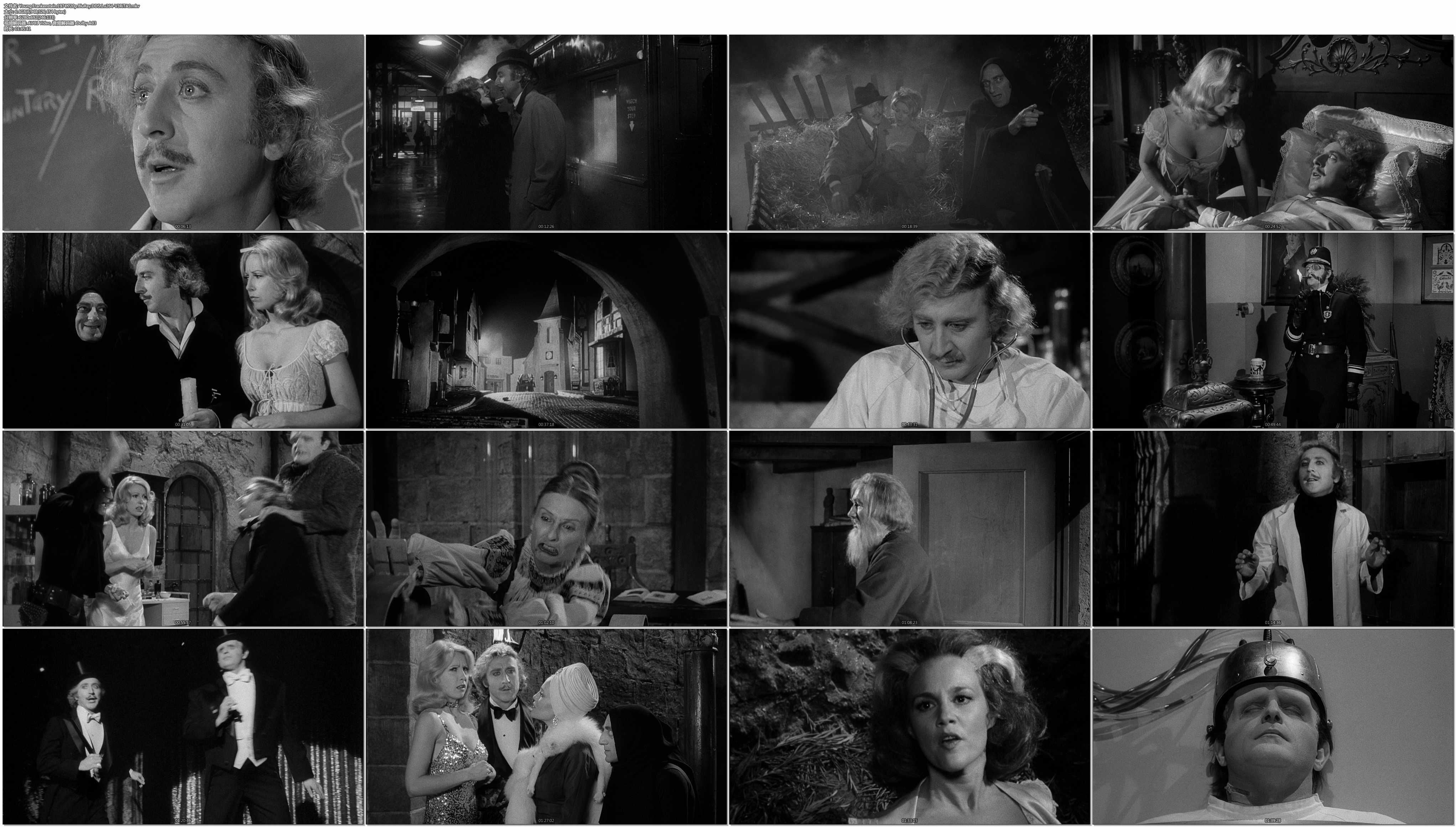 新科学怪人剧照的剧照