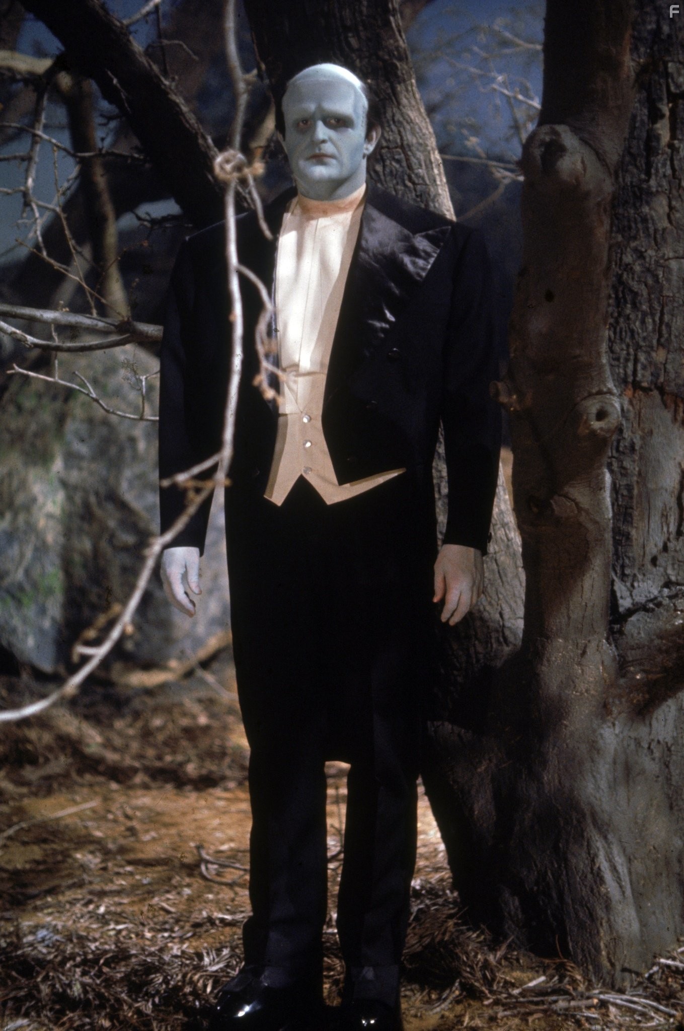 新科学怪人剧照的剧照