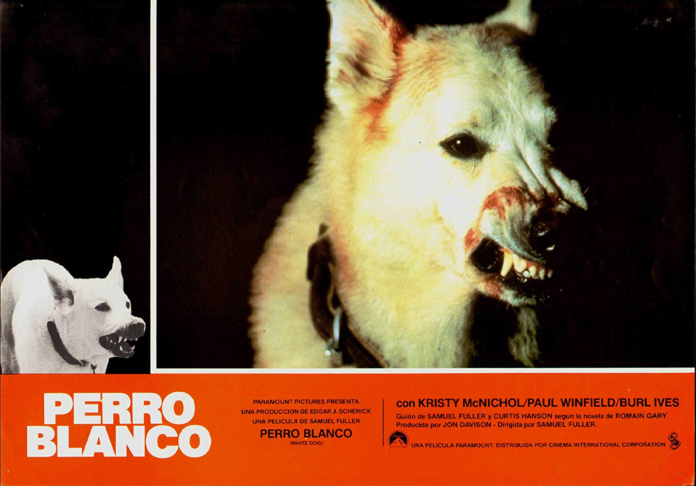 白狗剧照的剧照