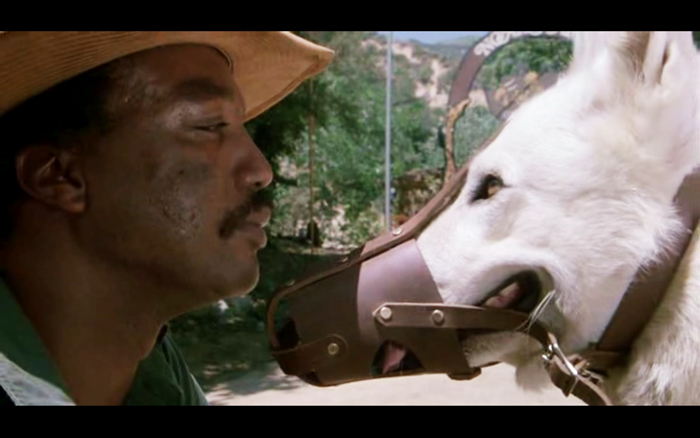 白狗剧照的剧照