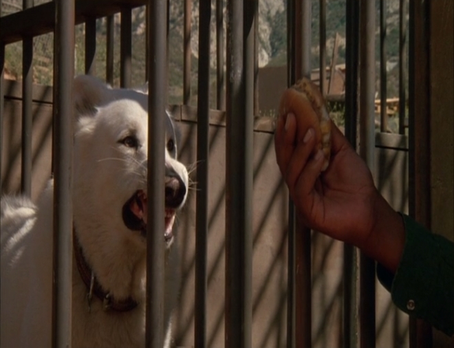 白狗剧照的剧照