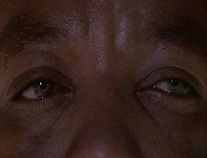 白狗剧照的剧照