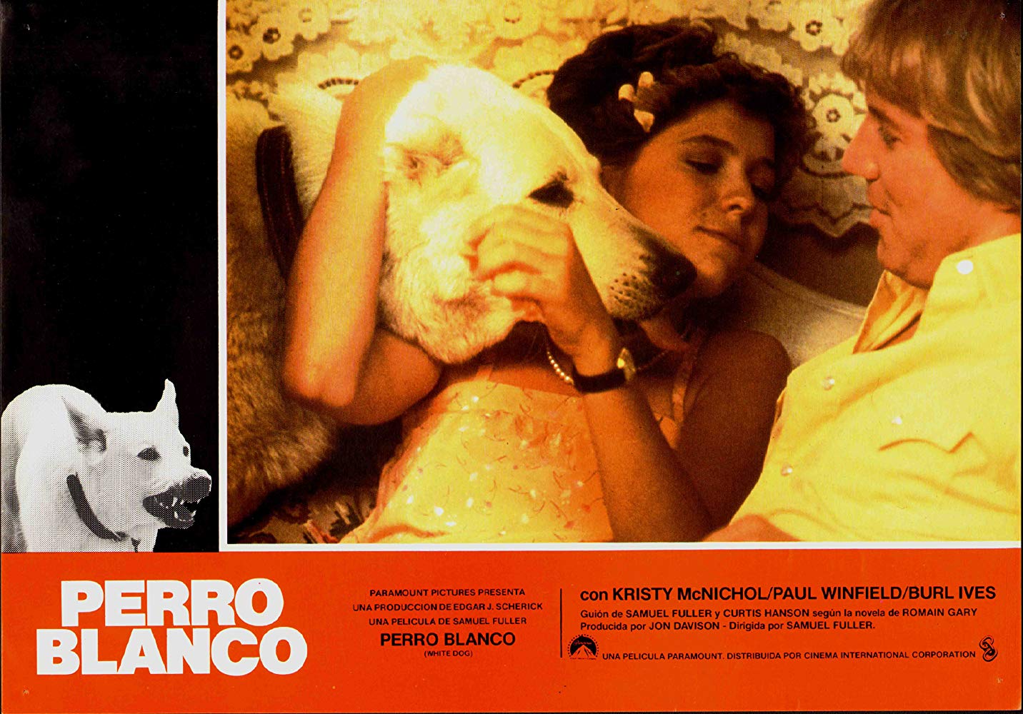 白狗剧照的剧照