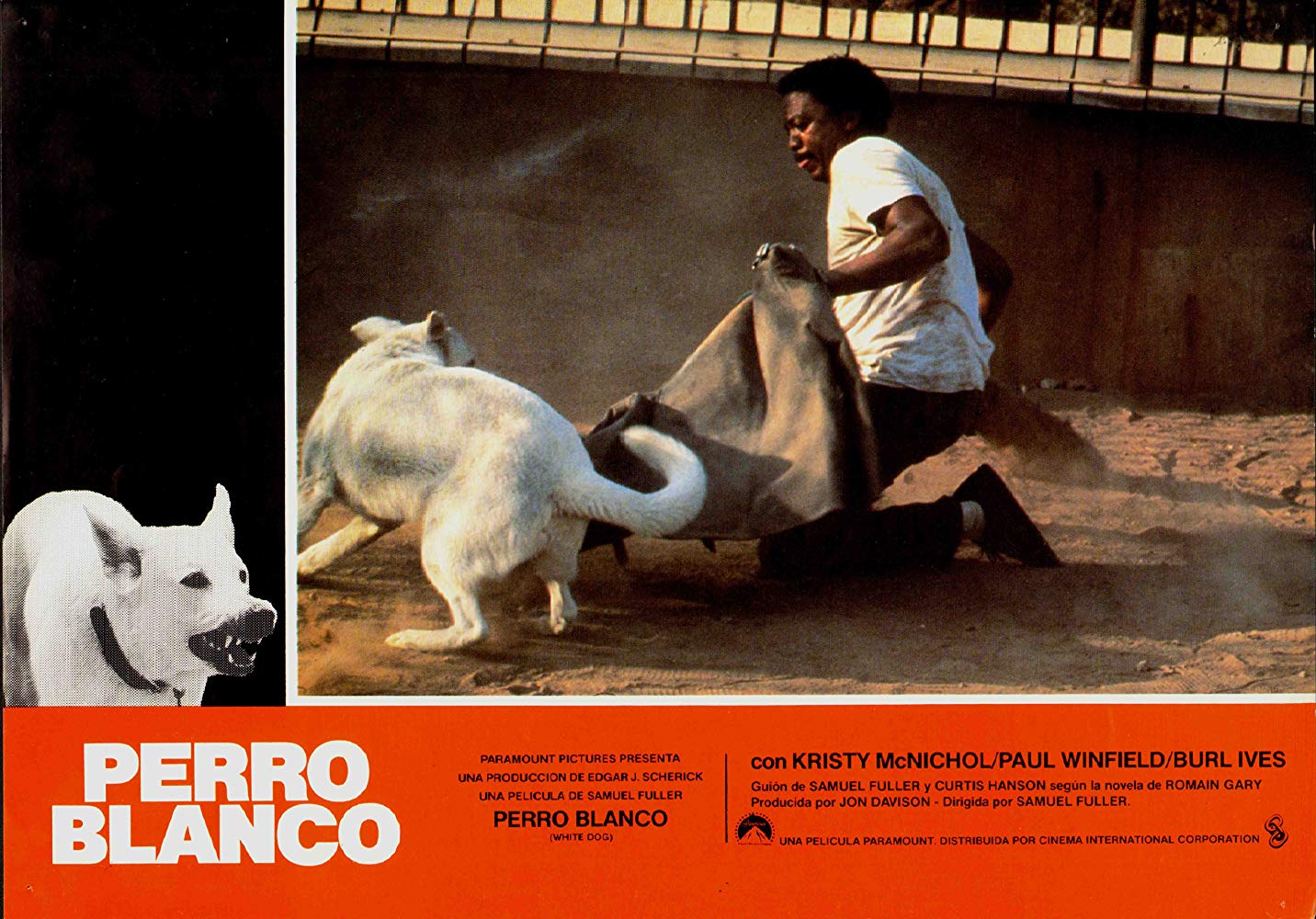 白狗剧照的剧照