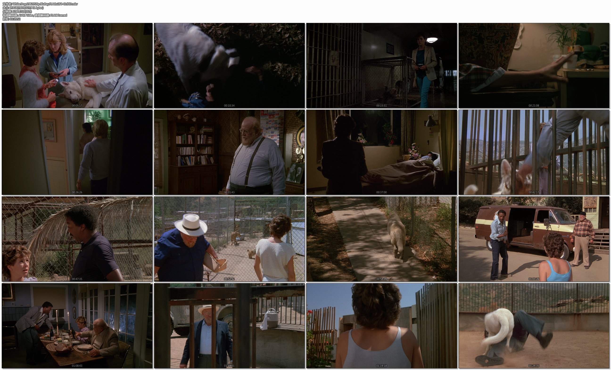 白狗剧照的剧照