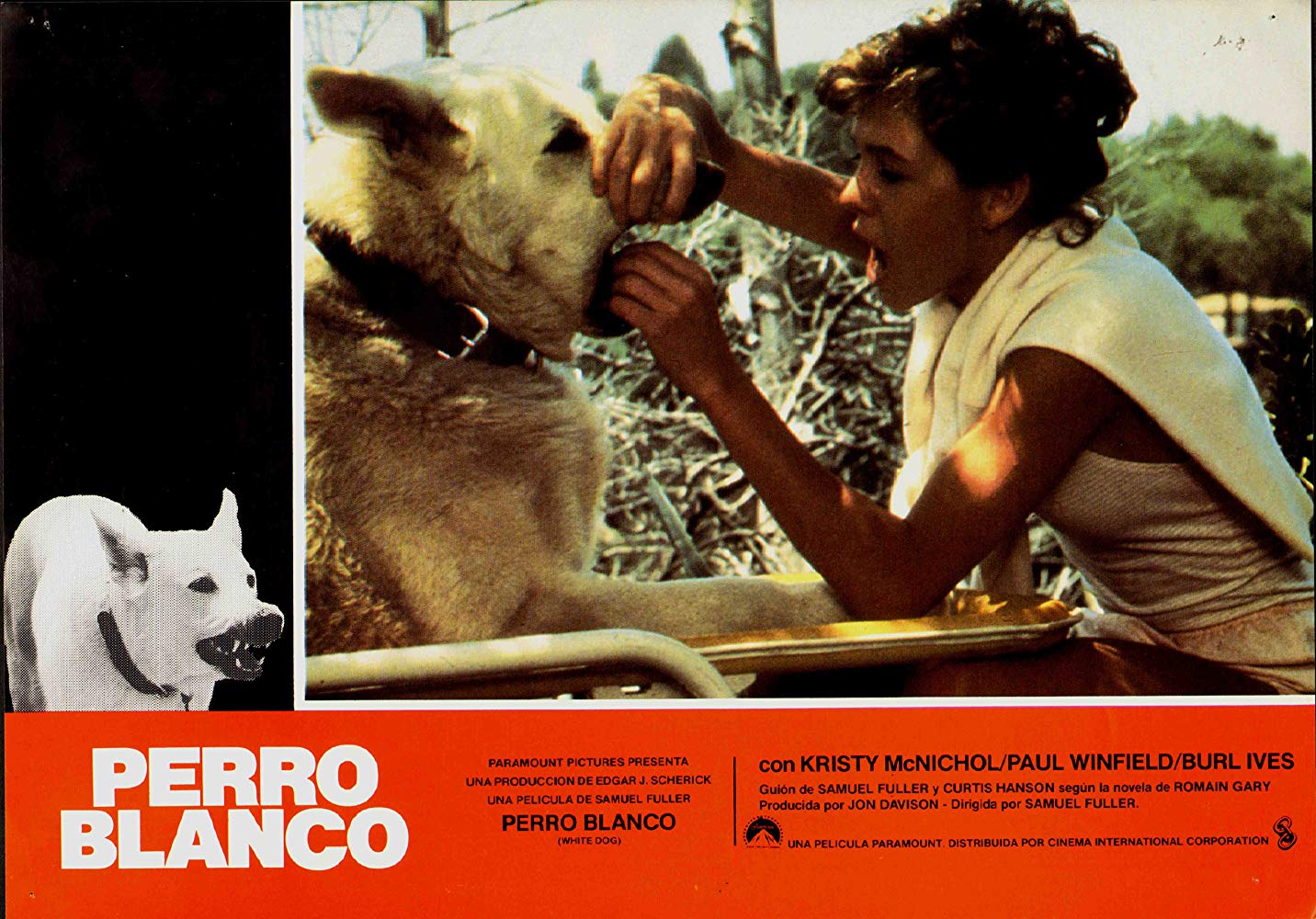 白狗剧照的剧照