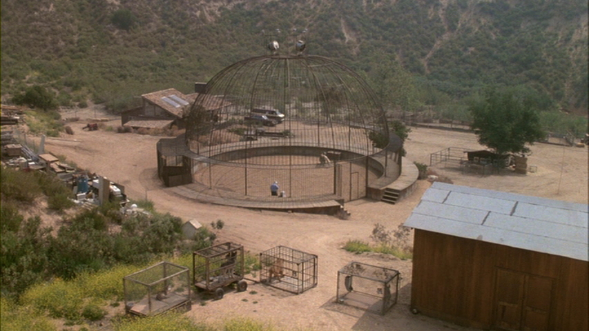 白狗剧照的剧照