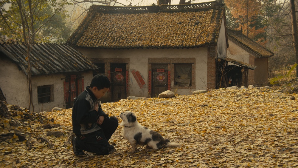 念书的孩子剧照的剧照