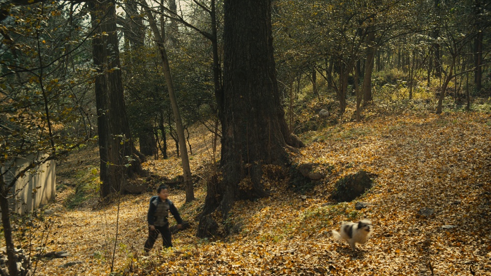 念书的孩子剧照的剧照