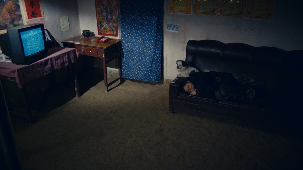 念书的孩子剧照的剧照