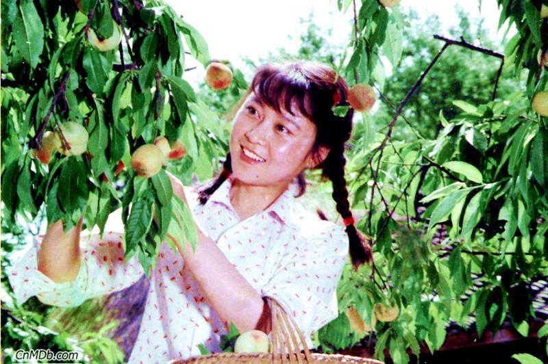 竹山青青剧照的剧照