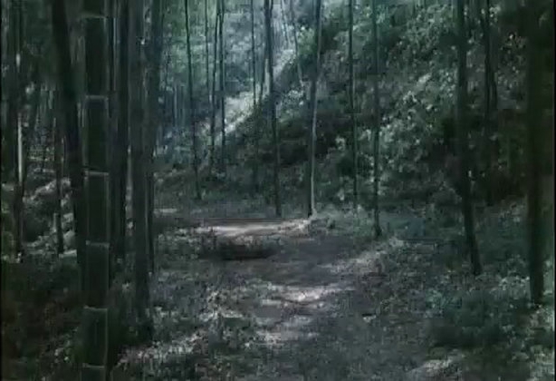 竹山青青剧照的剧照