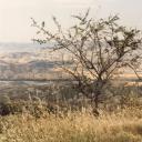 基督停留在埃博利剧照