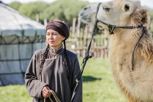 海林都剧照的剧照