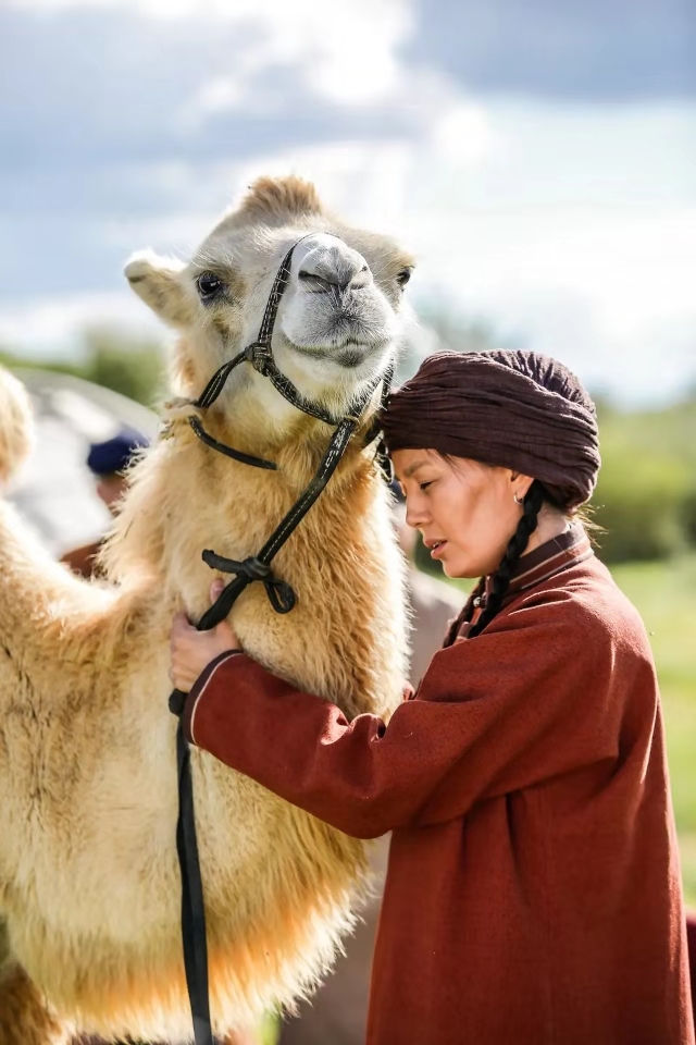 海林都剧照的剧照