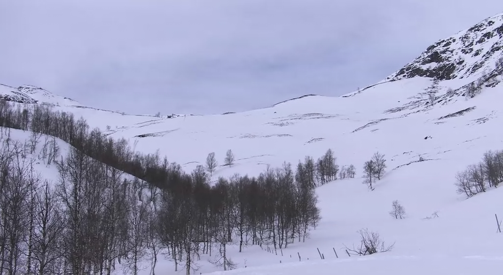 死亡之雪剧照的剧照