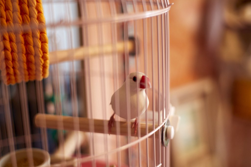 青涩之恋剧照的剧照