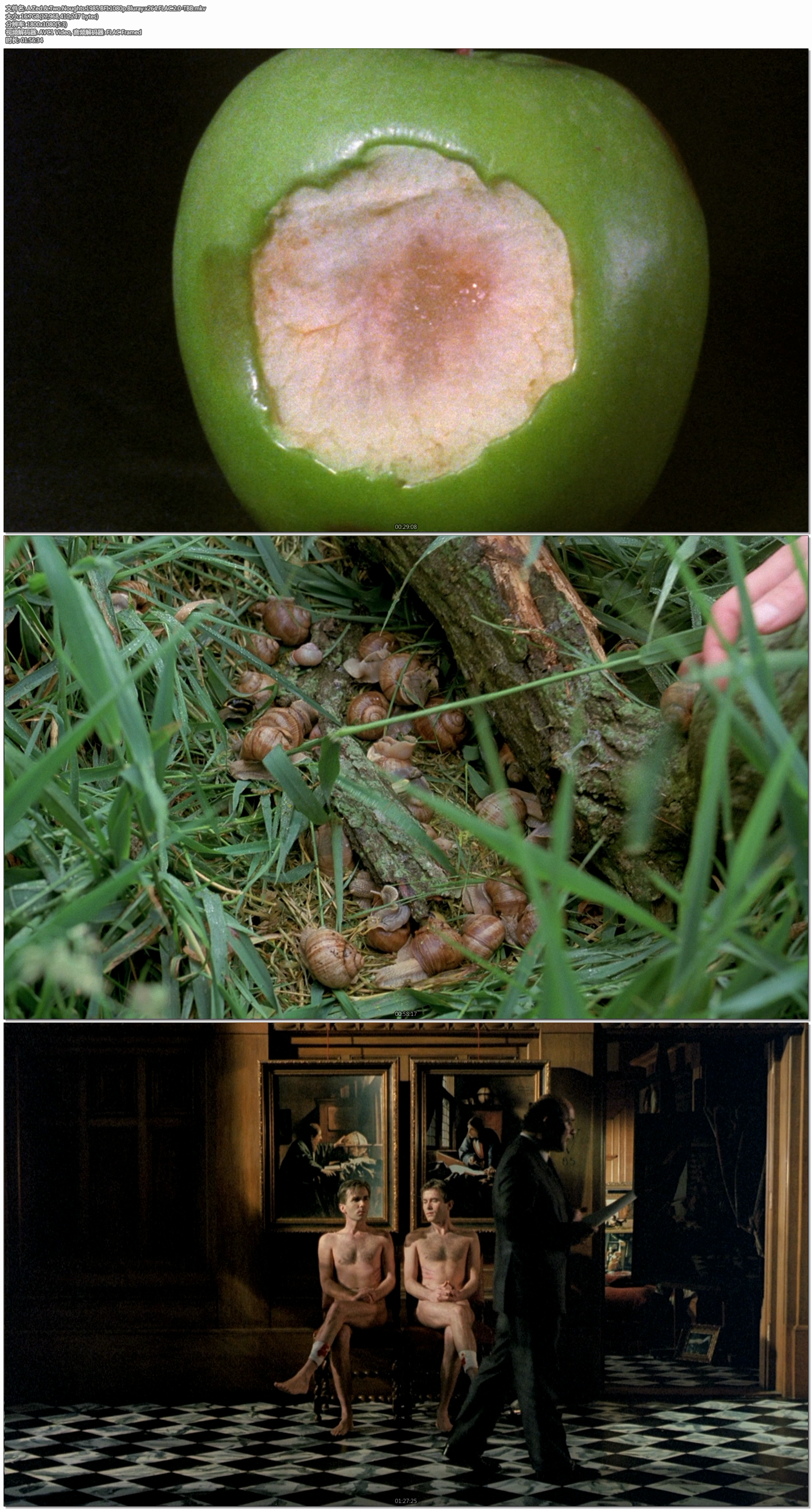 一个Z和两个O剧照的剧照