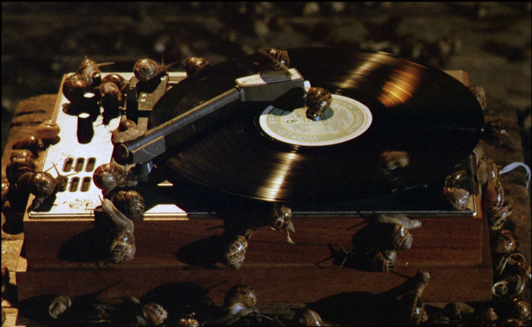 一个Z和两个O剧照的剧照