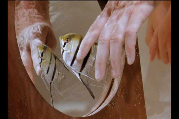 一个Z和两个O剧照的剧照