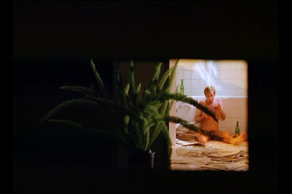 一个Z和两个O剧照的剧照