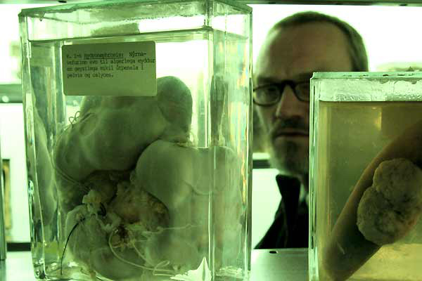 冰岛犯罪现场剧照的剧照