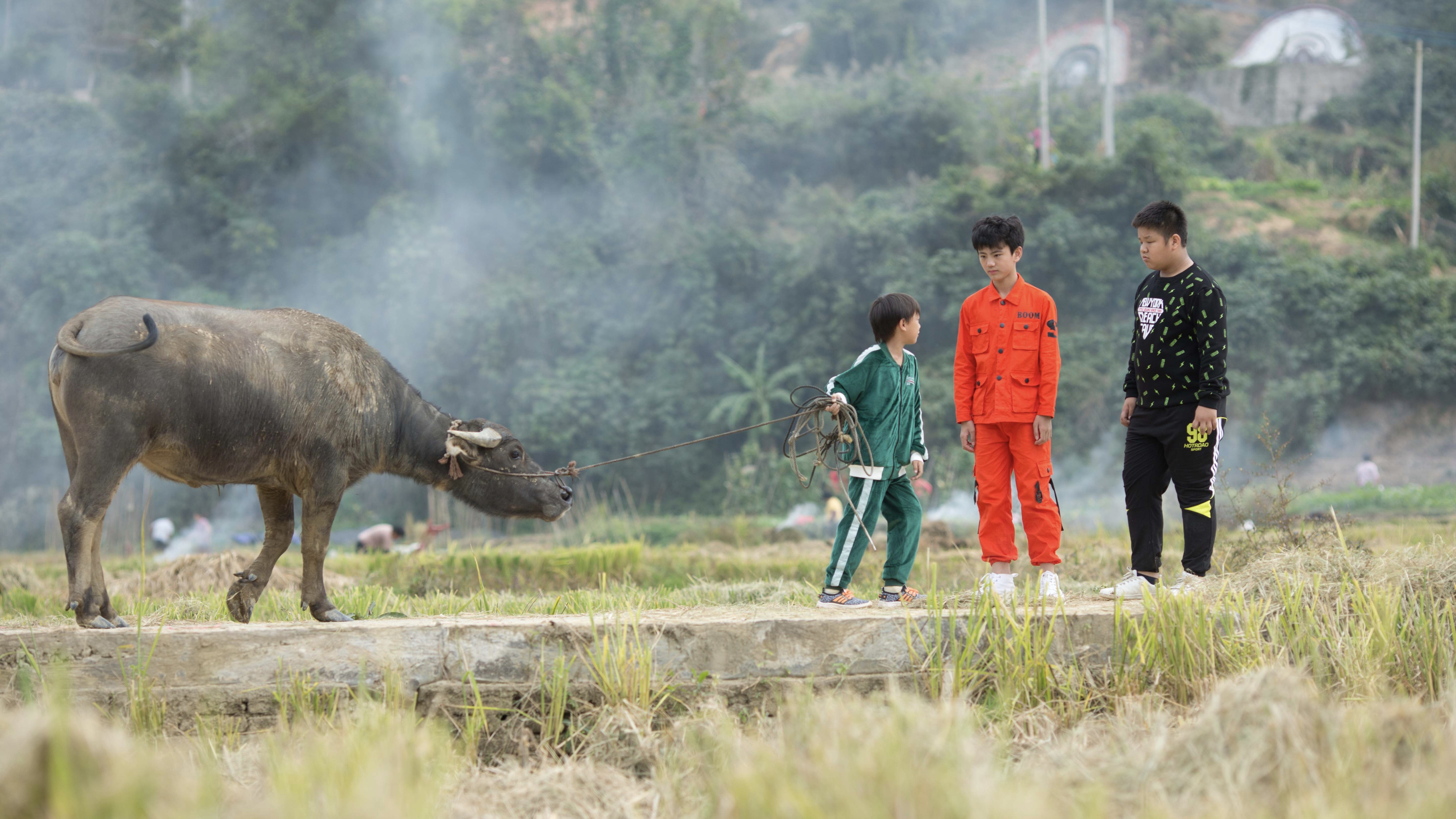 舞动吧！少年剧照的剧照