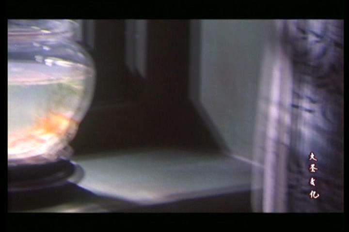 小金鱼剧照的剧照