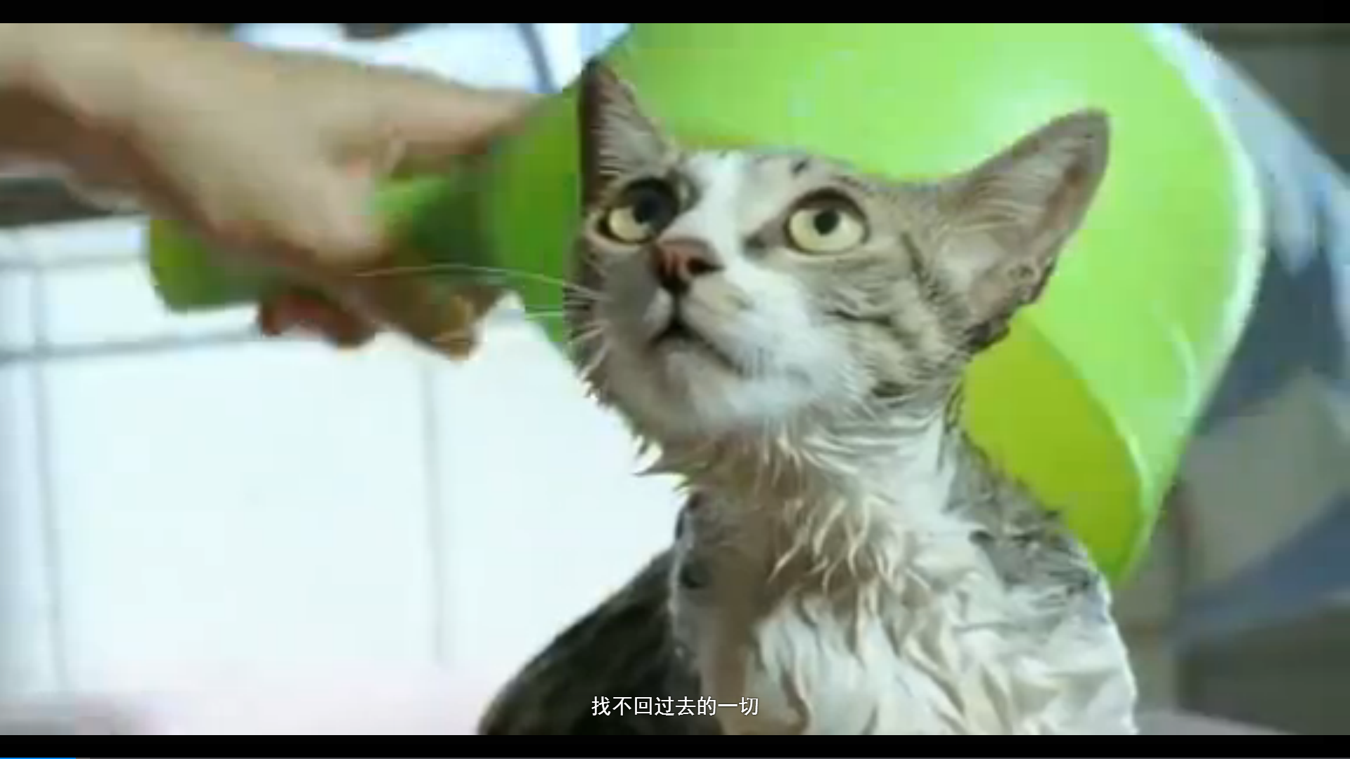 夏天的尾巴剧照的剧照