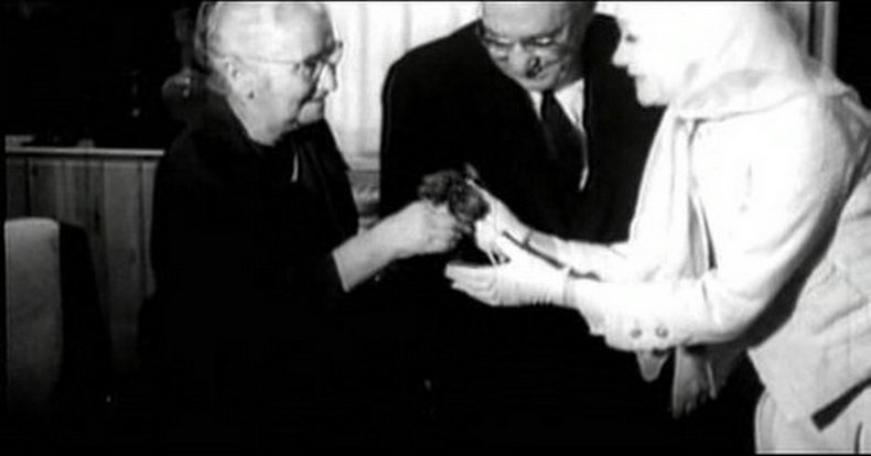 玛琳·黛德丽的故事剧照的剧照