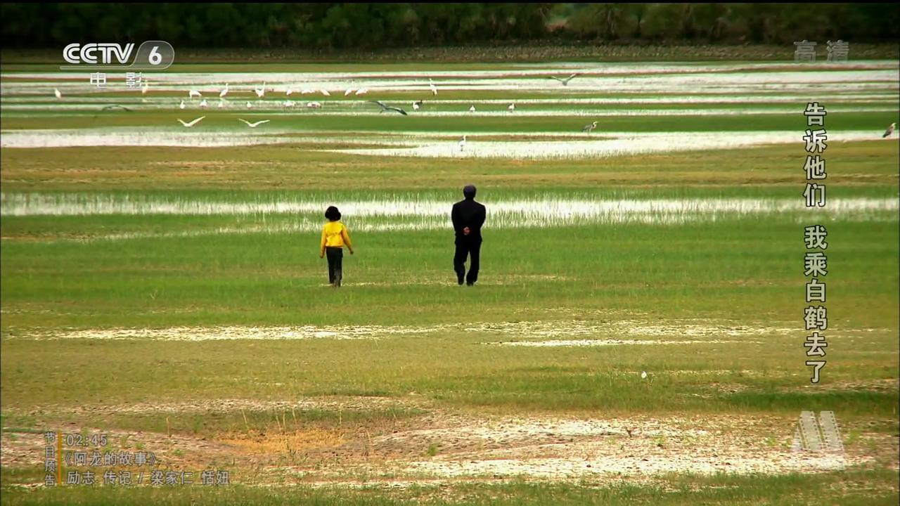告诉他们，我乘白鹤去了剧照的剧照