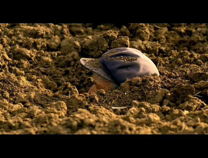 告诉他们，我乘白鹤去了剧照的剧照