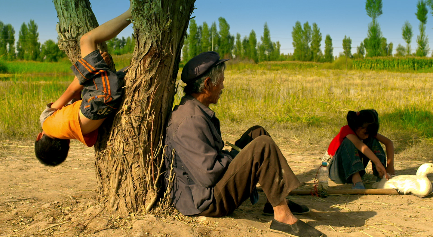 告诉他们，我乘白鹤去了剧照的剧照
