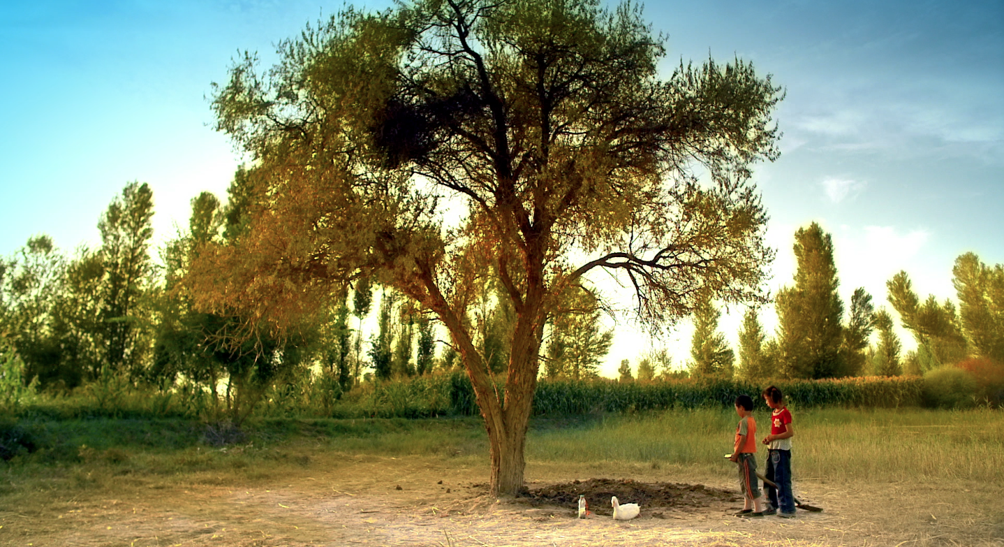 告诉他们，我乘白鹤去了剧照的剧照