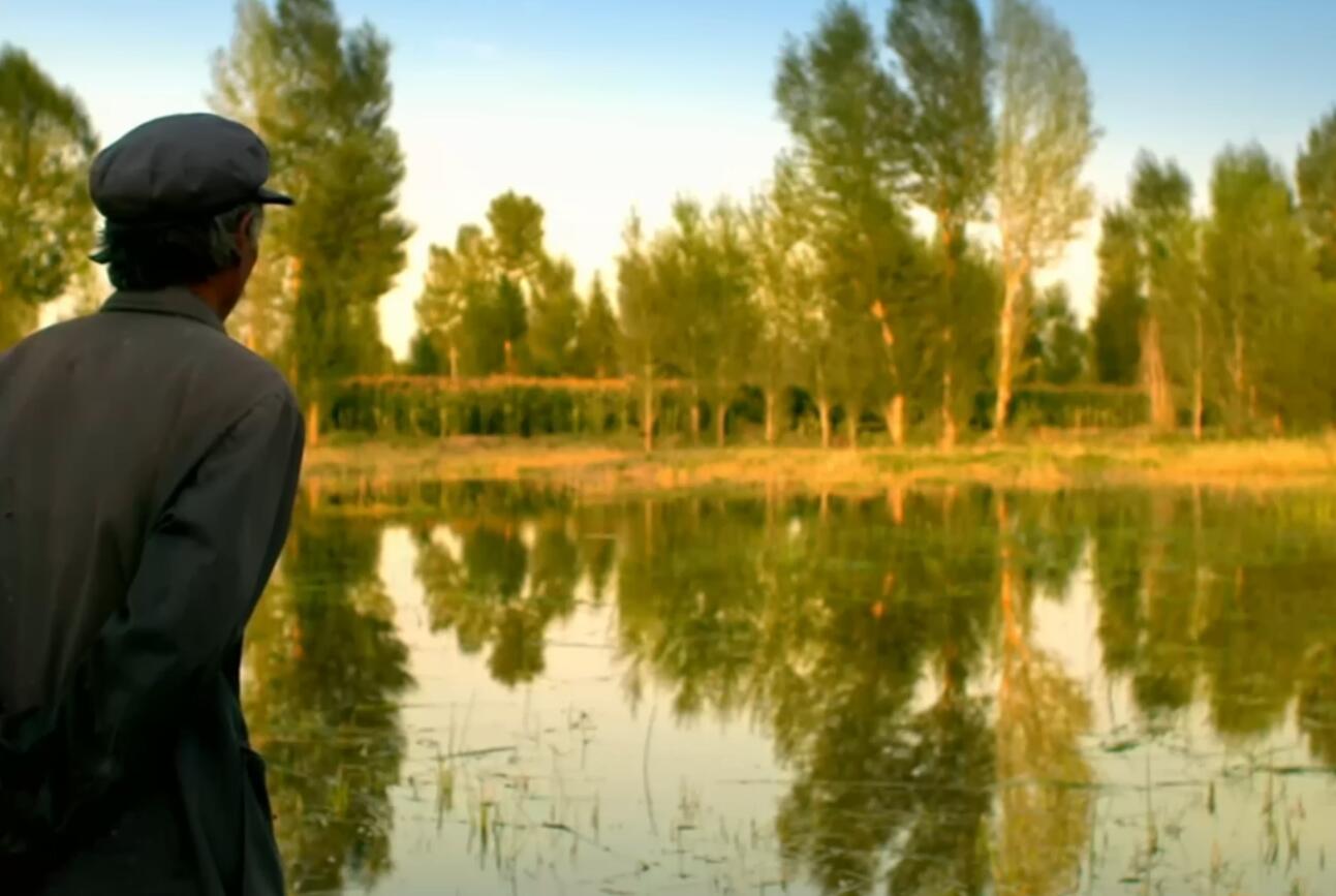 告诉他们，我乘白鹤去了剧照的剧照