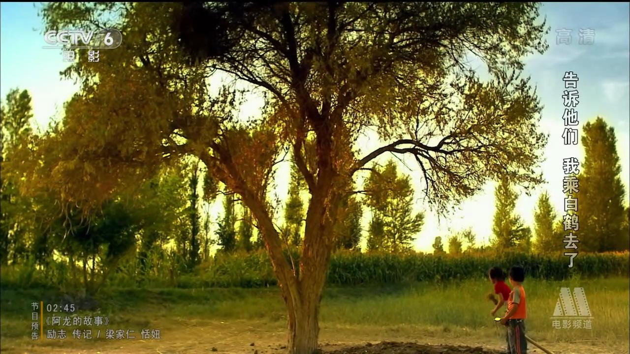 告诉他们，我乘白鹤去了剧照的剧照