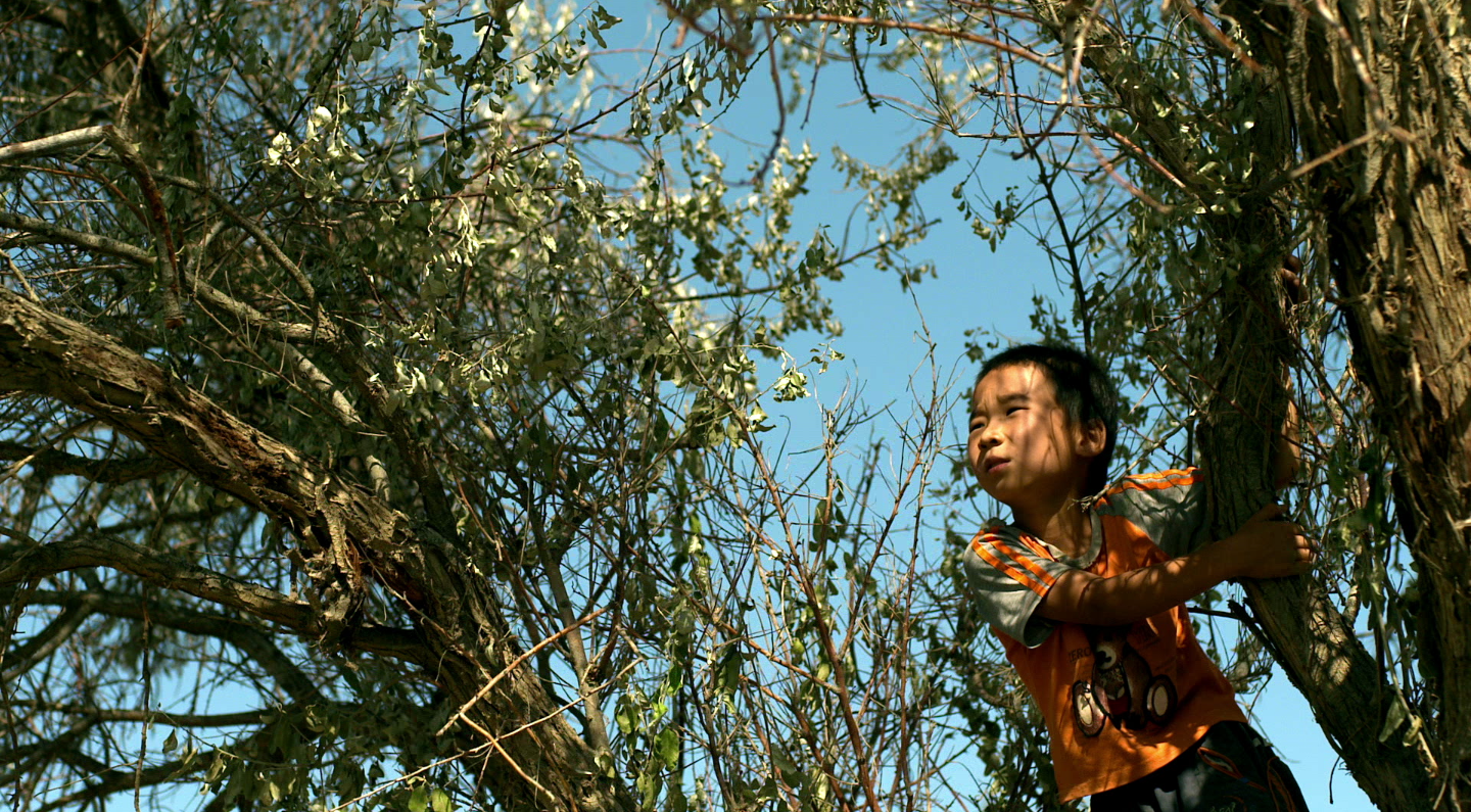 告诉他们，我乘白鹤去了剧照的剧照