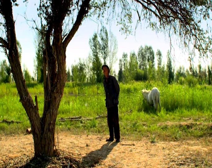 告诉他们，我乘白鹤去了剧照的剧照