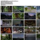 秋子家的八月剧照