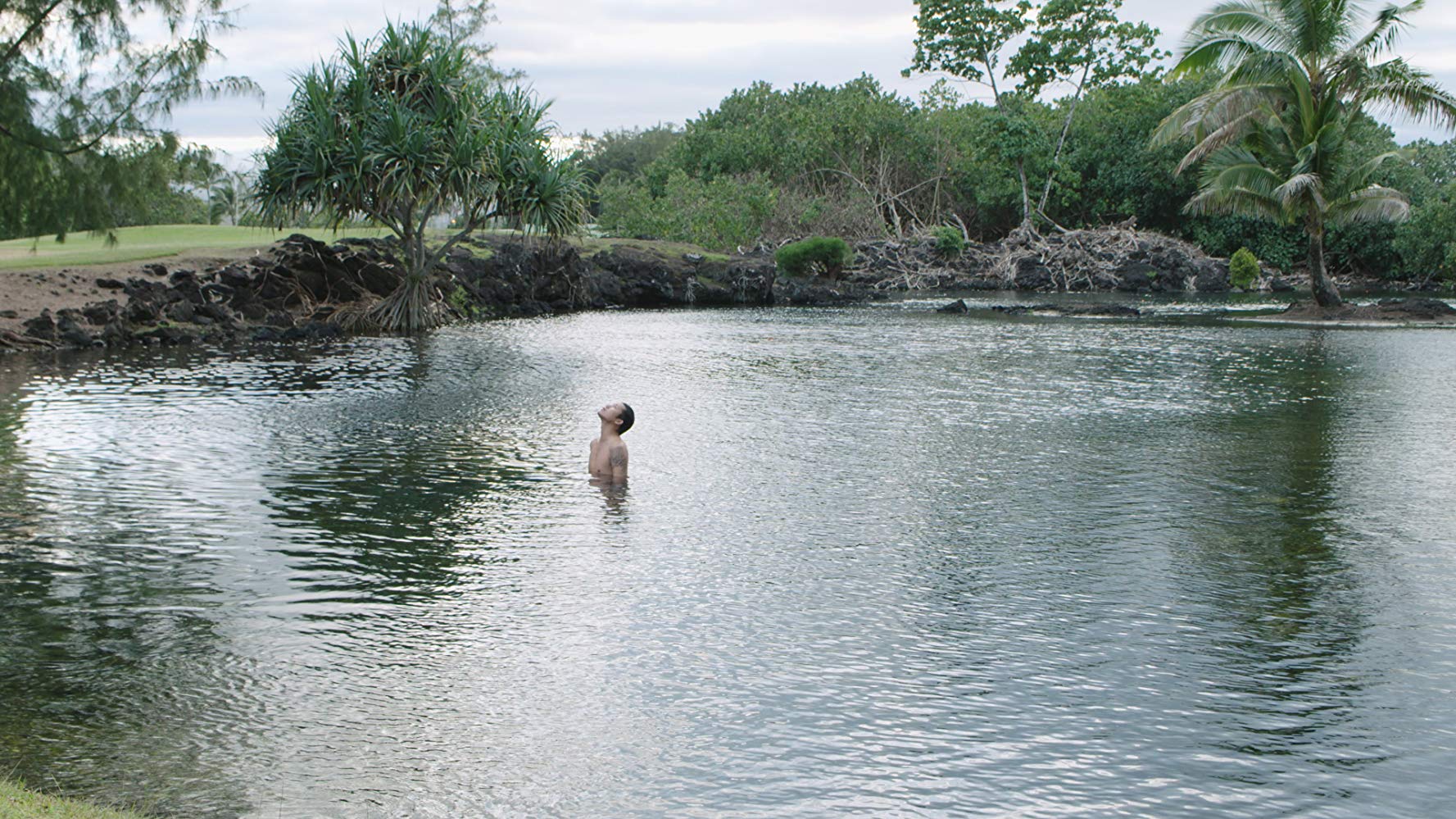 秋子家的八月剧照的剧照