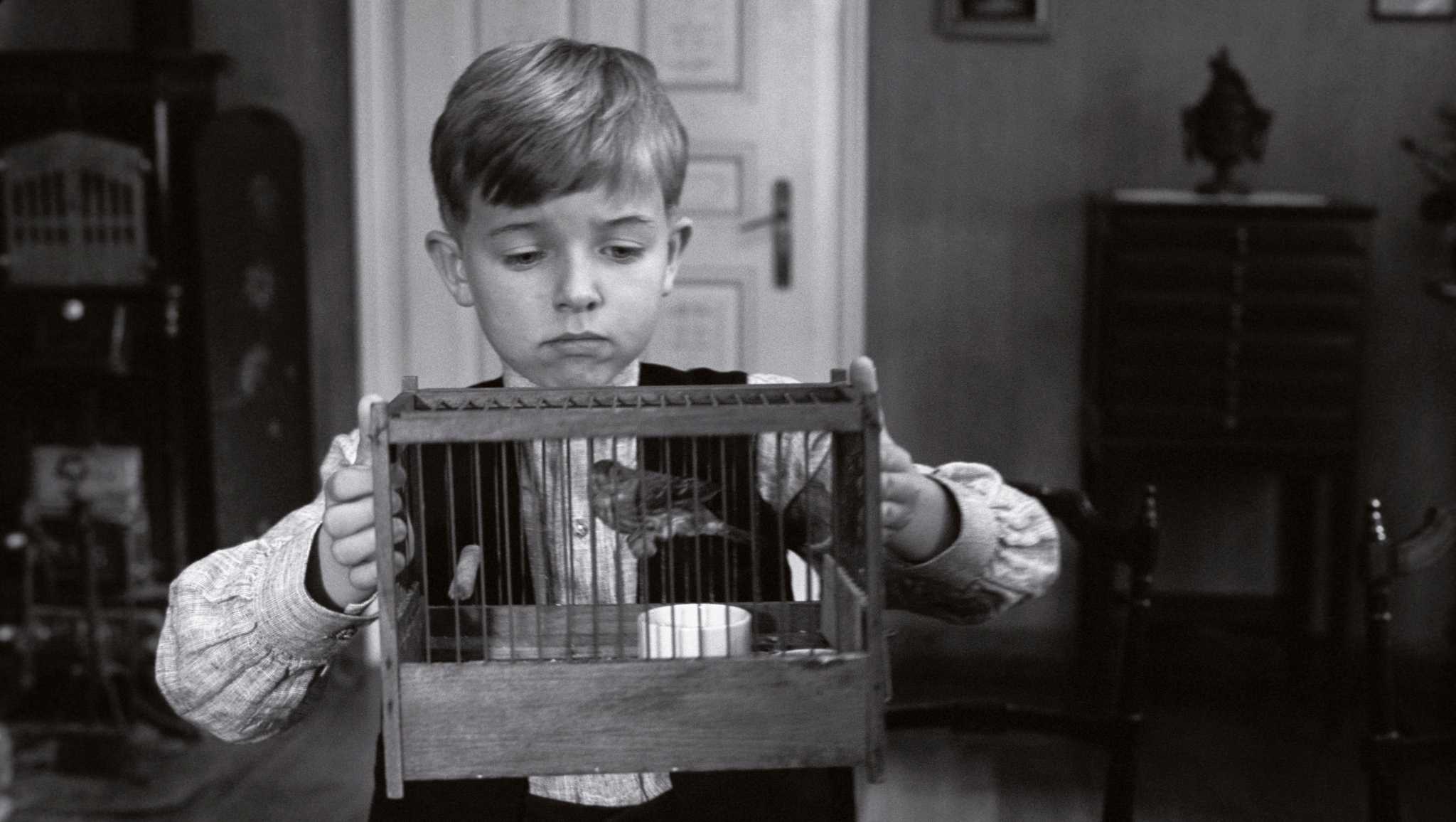 白丝带剧照的剧照