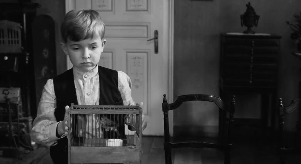 白丝带剧照的剧照