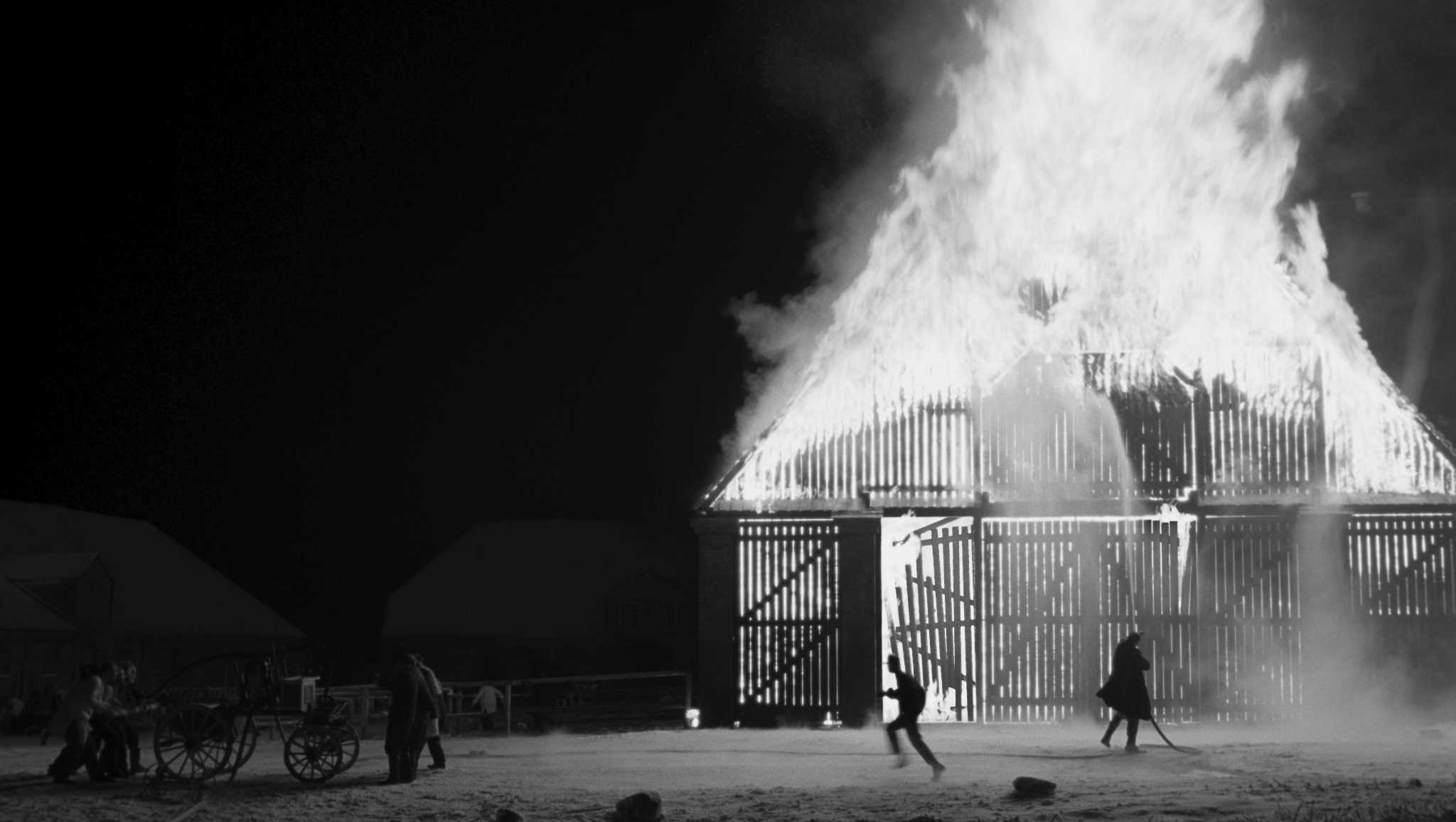 白丝带剧照的剧照