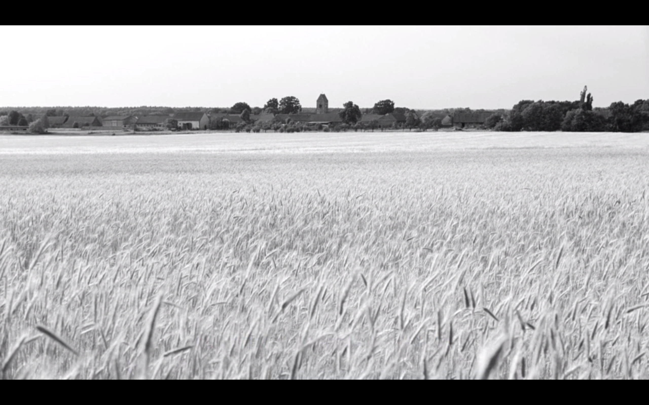 白丝带剧照的剧照