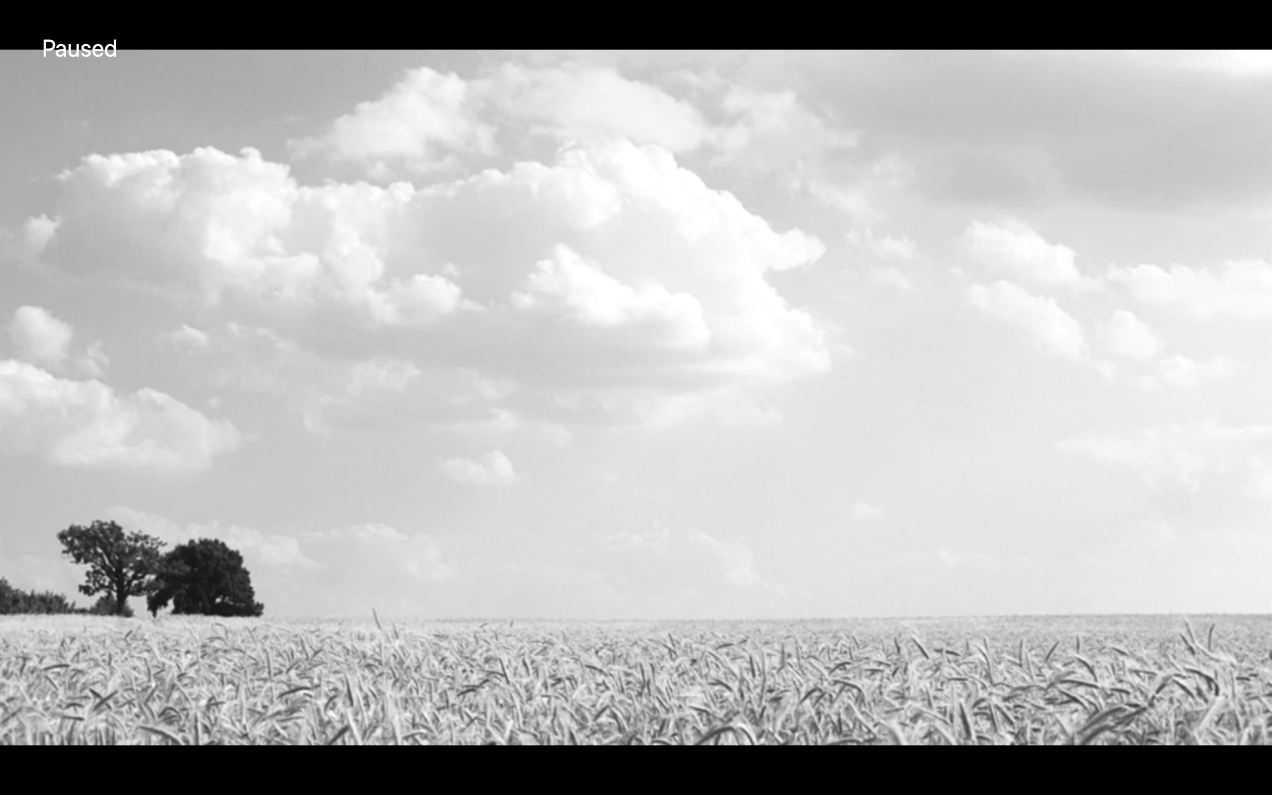 白丝带剧照的剧照