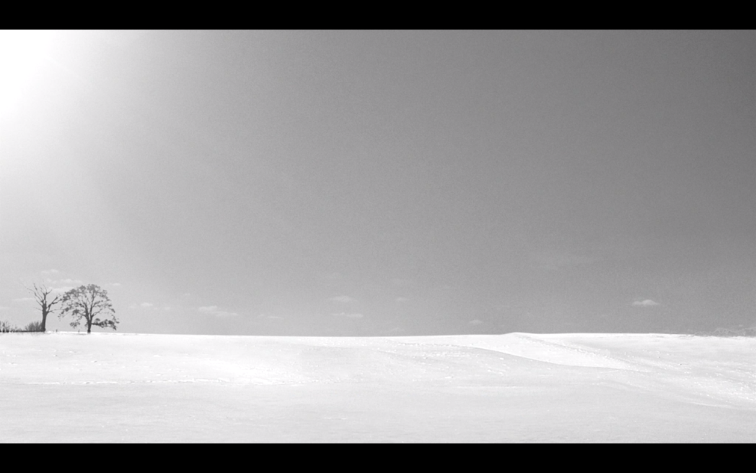 白丝带剧照的剧照