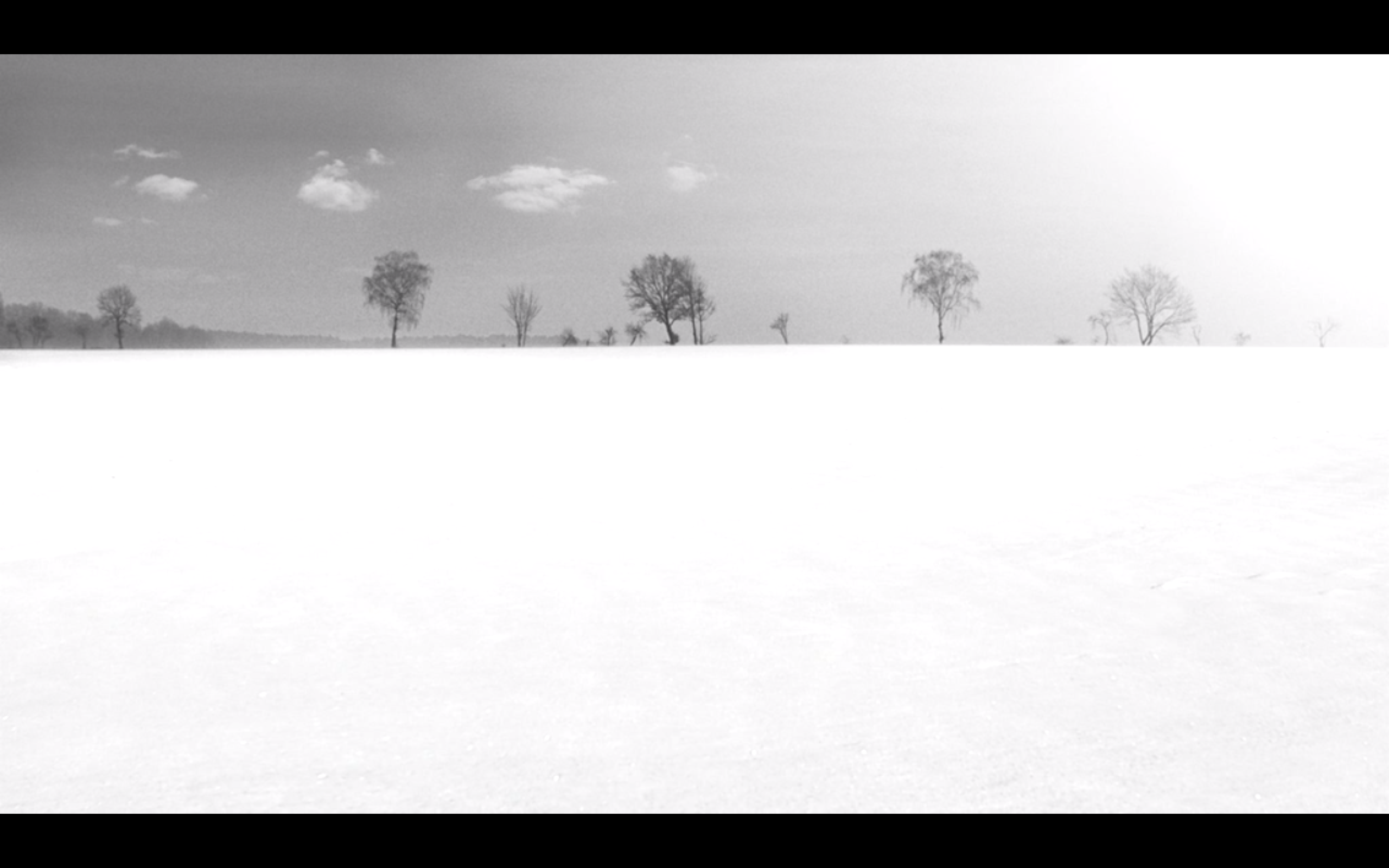 白丝带剧照的剧照