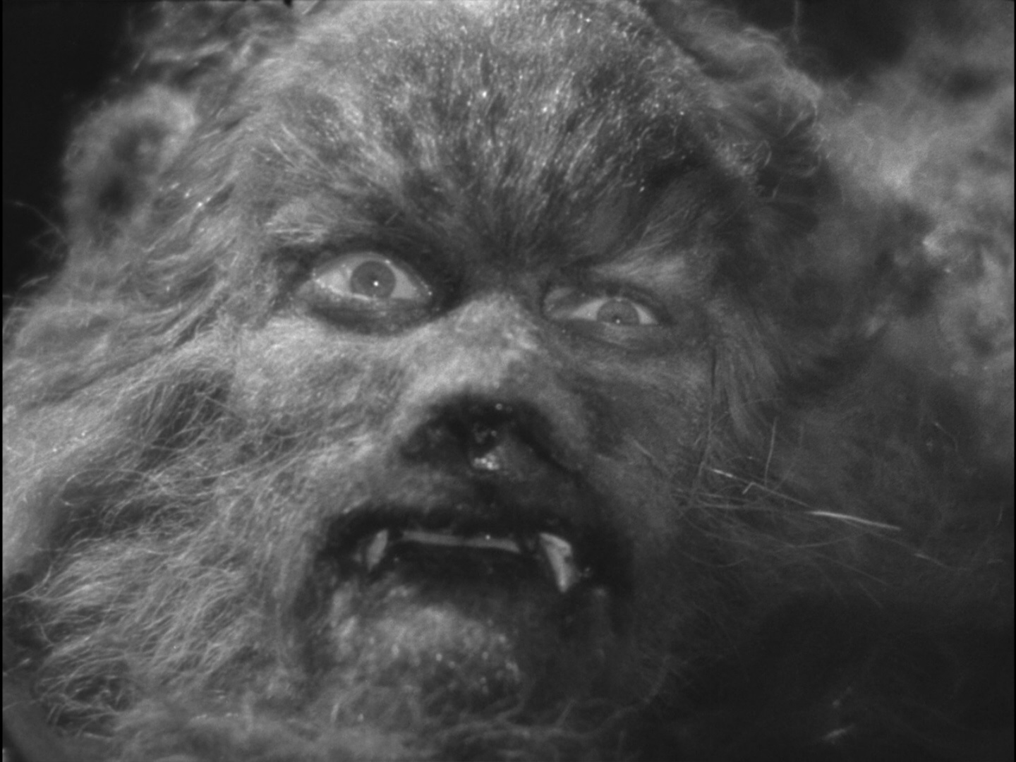 美女与野兽剧照的剧照