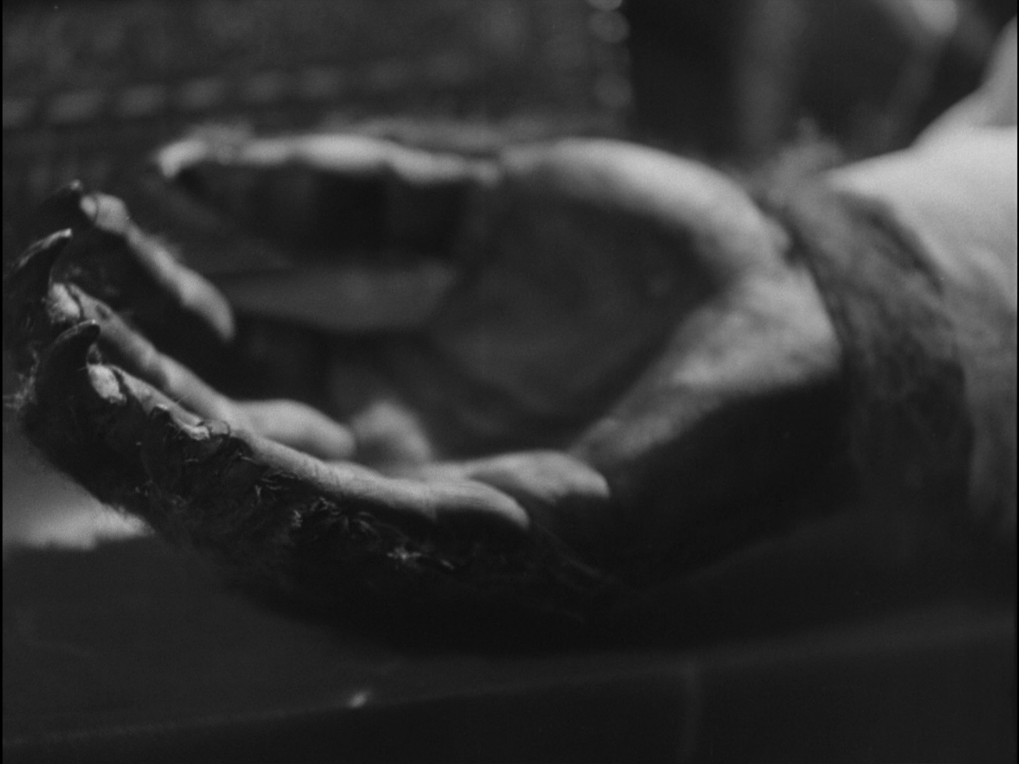 美女与野兽剧照的剧照